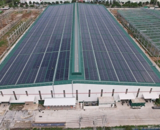 Công ty thép Hòa Phát Long An tự chủ gần 40% điện sản xuất nhờ hệ thống điện mặt trời